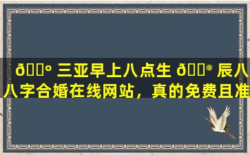 🌺 三亚早上八点生 💮 辰八字八字合婚在线网站，真的免费且准确吗